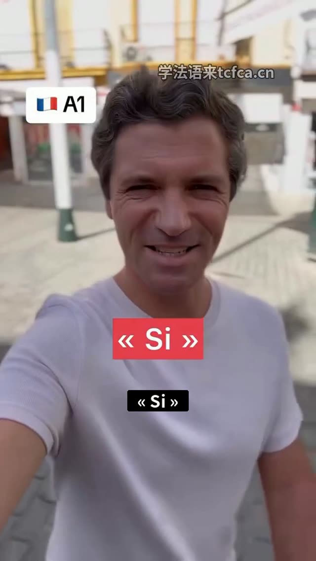 法语A1必会:Si还是Oui?别再答错了 视频封面