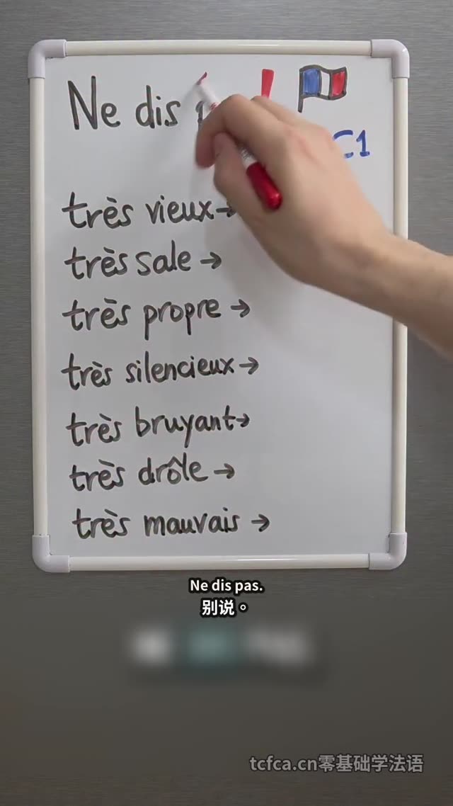 C1法语高级替换词：别再只会说très 视频封面
