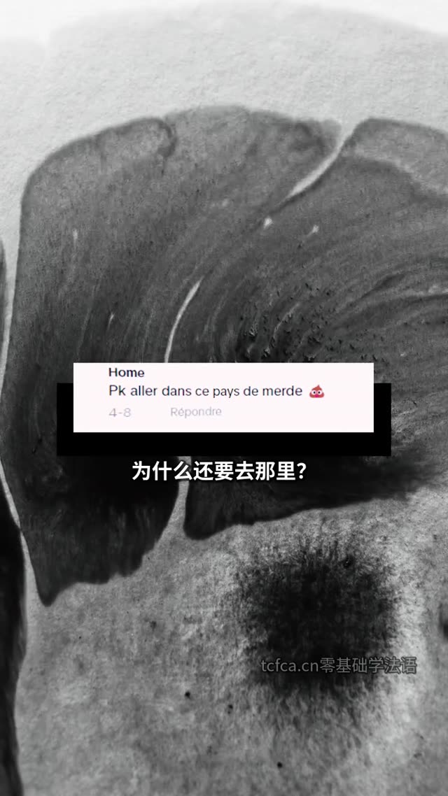 互联网让我们真的了解印度吗 视频封面