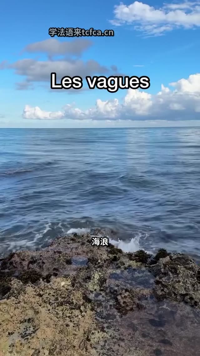 别再只会说vague海浪的法语高级表达 视频封面